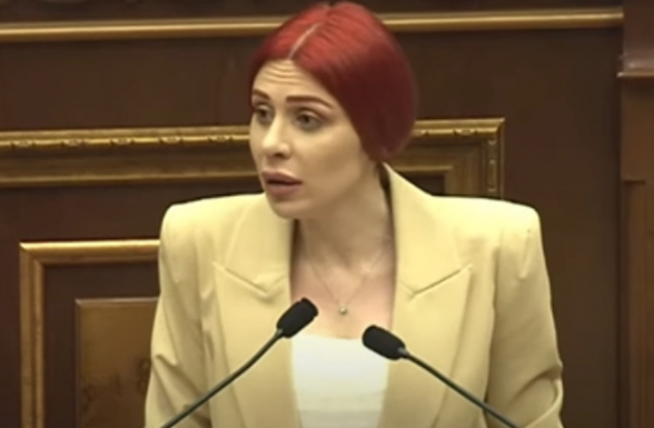 Депутаты от власти подтверждают, что Седа Сафарян допустила нарушение закона – Хамоян (видео)